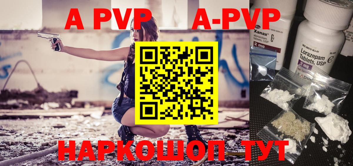 A PVP СК КРИС Холмск